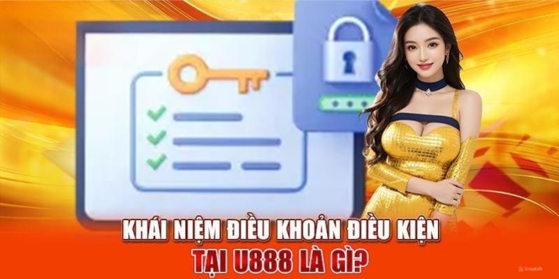 Tổng quan thông tin về điều khoản và điều kiện